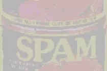 bgspam.gif