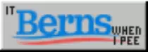 images/berns.png