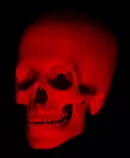 skull07.gif