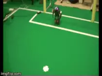 Images/goalie.gif