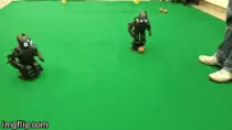Images/pass.gif