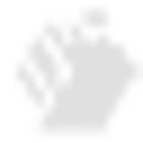 images/favicon.png