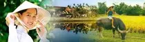 exercicis/tema2/images/travel_vietnam.jpg