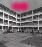tt copy.jpg