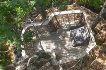 images/05_prop_treehouse.jpg