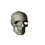 skull.gif