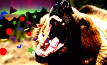 bear_compressedLayers.png