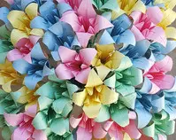 images/Rainbow flowers.jpg