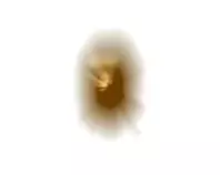 bape.gif
