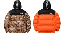 nuptsejacket2.jpg