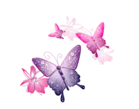 MOD_1/P2P_Opcional_1/mariposas.png