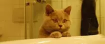 images/3.jpg
