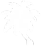 imgs/palm2.png