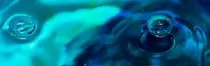 images/banner.jpg