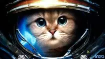 html1/imagenes/g1.jpg