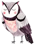 buho.png