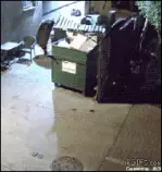 100.gif