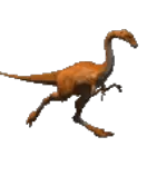 tiny2.gif