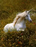 unicornsmaller.jpg
