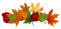 Fall Leaves.png