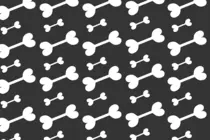 thecoolestbackground.png