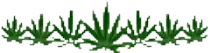 28/1420467850.gif