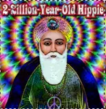 28/2zillhippie.png