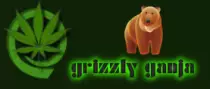 28/logo.jpg