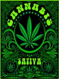 45474-cannabis.jpg