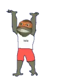 Lolzturtle.gif