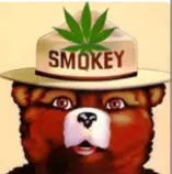 about/images/profile_img.png