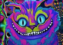 catgiff.gif