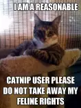 catnip user feline rights.jpg