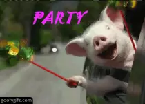 funny-gifs-party-hard-g-f-tattoodonkey.com.jpg