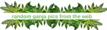 ganpics.png