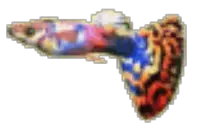 guppysmall.gif