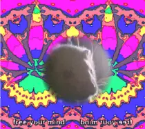 image.gif