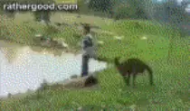 kangaroo_tag_small.gif.pagespeed.ce.DdJiVwumU0.gif