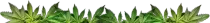 p/lup.png