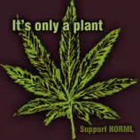 polls_NORML_potleaf_5314_730199_answer_1_xlarge.jpeg