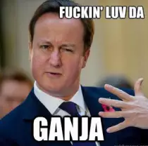random/cameron-david-drugs-prohibition-weed-cannabis-meme.jpg