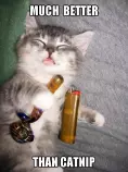random/catnip.jpg