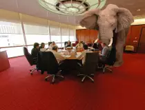 random/elephant-in-the-room.jpg