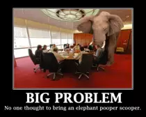 random/escooperElephant.jpg