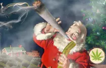 stuff/christmas-weed-cover.jpg