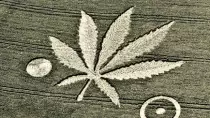 stuff/file_191921_0_Crop_Cirles_header-642x362.jpg
