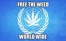 stuff/freetheweedworldwide.jpg