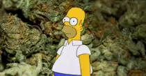 stuff/homer.gif