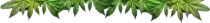 stuff/l.png