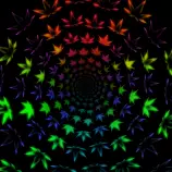 stuff/tripygleaf.gif